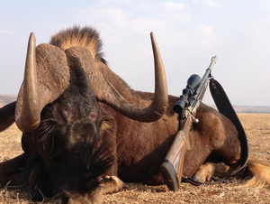 Beyond Borders: International Hunting Adventures & Gear Tips