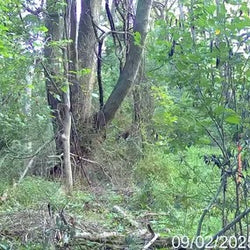 hunting spot