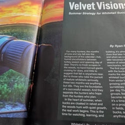 velvet vision