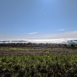 beautiful wild view
