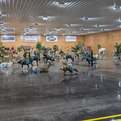 deer museum